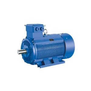 Electric Motor